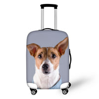 TWOHEARTSGIRL Travel Accessories Cartoon Basenji Dog Print